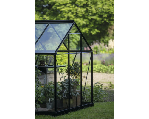 Gewächshaus mit Pflanzen im Garten