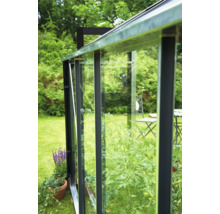 Detailansicht eines Gewächshauses mit Pflanzen im Garten