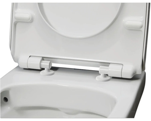 Toilettensitz mit geöffnetem Deckel