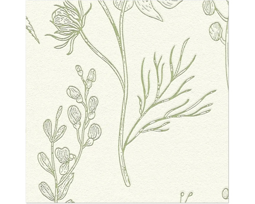 Illustration von Pflanzen auf Tapete