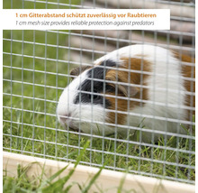 Meerschweinchen hinter einem Drahtgitter mit 1 Zentimeter Maschenweite
