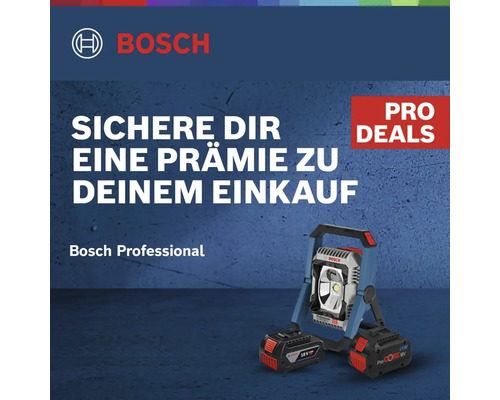 Bosch Professional Akku-Baustrahler mit zwei Akkus
