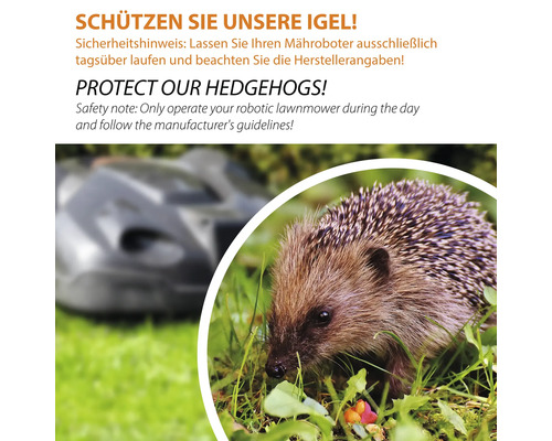 Schützen Sie unsere Igel: Mähroboter nur tagsüber betreiben