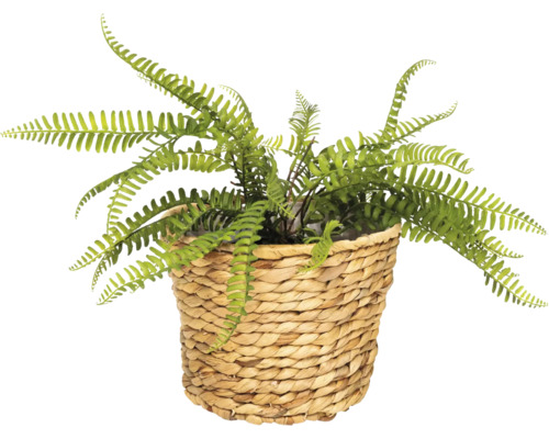 Künstlicher Farn in einem geflochtenen Korb