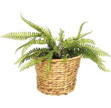 Künstlicher Farn in einem geflochtenen Korb