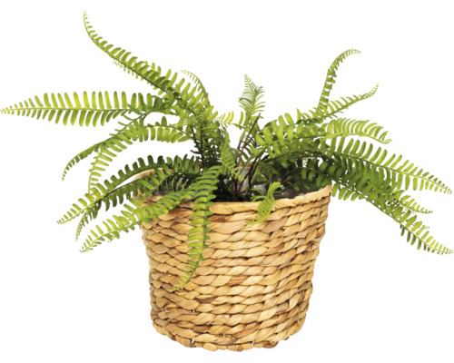Künstlicher Farn in einem geflochtenen Korb