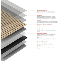 Schichtaufbau einer Wandverkleidung