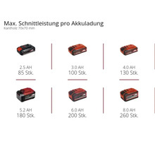 Akkus mit verschiedenen Kapazitäten für Elektrowerkzeuge