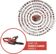 Einhell Power X-Change Akku-Familie mit Kettensäge und Akku