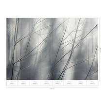 Fototapete mit Baumzweigen und Größenangaben