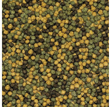 Nahaufnahme von Fischfutterpellets