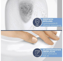 Toilette mit Dreifachspülung und selbstreinigender Oberfläche