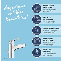 Armatur mit Informationen zu Standardauslauf, Ablaufgarnitur, Energiesparen, Blei- und Nickelfreiheit sowie Wassersparen.