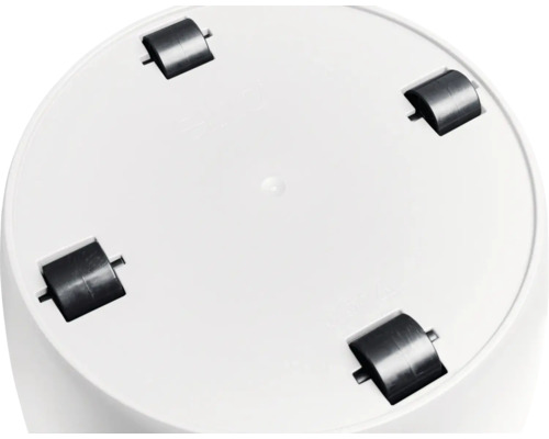 Runde Pflanzenroller Unterseite mit vier Rollen