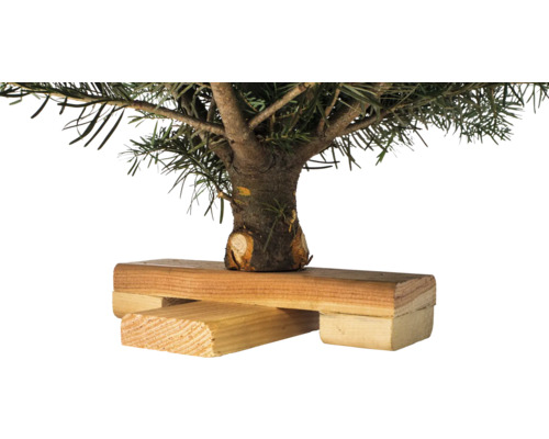Tannenbaumstamm in Holzständer