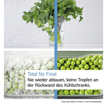 Total No Frost Kühlgerät mit frischen Kräutern und Erbsen in Behältern