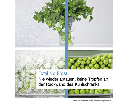Demonstration der No Frost Funktion eines Kühlschranks mit frischen Kräutern und gefrorenen Erbsen