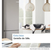 Szene mit einem Kühlschrank, einer Katze und einer Person, die ein Buch liest, die die Stille genießt