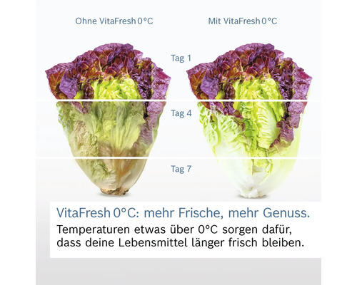 Vergleich von Salat mit und ohne VitaFresh 0 Grad Celsius Funktion