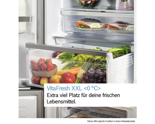 Innenansicht eines Kühlschranks mit Gemüse- und Fischfächern