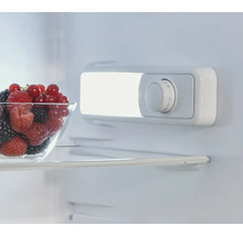 Innenraum eines Kühlschranks mit Beeren in einer Schüssel und Temperaturregler