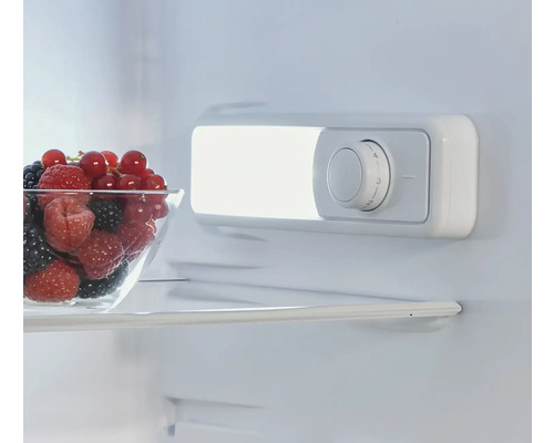 Innenraum eines Kühlschranks mit Beeren in einer Schüssel und Temperaturregler