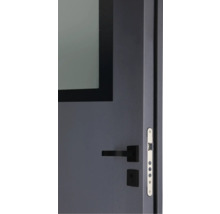 Detailansicht einer grauen Tür mit Glaseinsatz, schwarzem Türgriff und silberfarbenem Schließblech