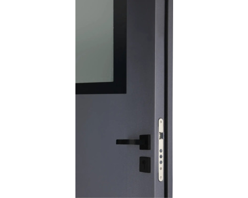 Detailansicht einer grauen Tür mit Glaseinsatz, schwarzem Türgriff und silberfarbenem Schließblech