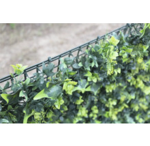 Sichtschutzzaun mit grünen Blättern aus Kunststoff