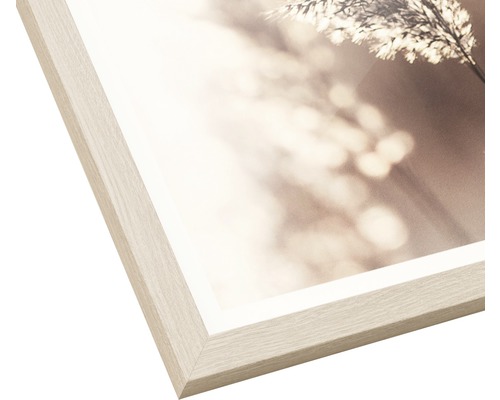 Gerahmtes Bild mit Naturmotiv