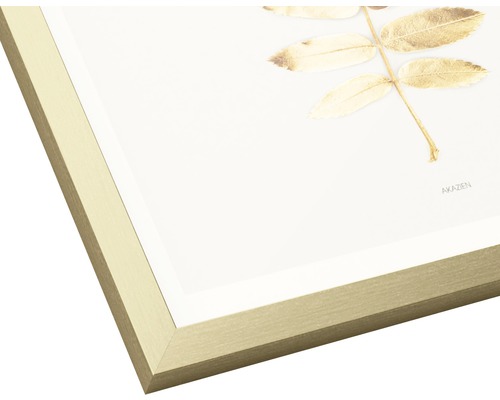 Gerahmtes Bild mit Akazienmotiv