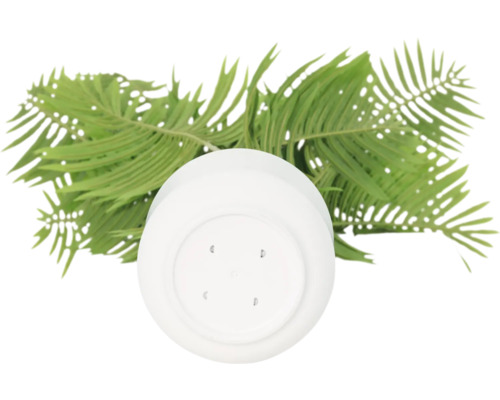 Pflanztopf aus Kunststoff mit Farnwedeln