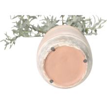 Blick auf die Unterseite eines Blumentopfs mit Pflanze