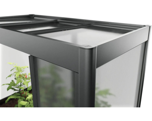 Detailansicht eines Gewächshauses mit Polycarbonatplatten und Aluminiumrahmen