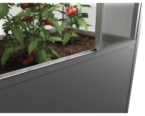 Hochbeet mit Tomatenpflanzen