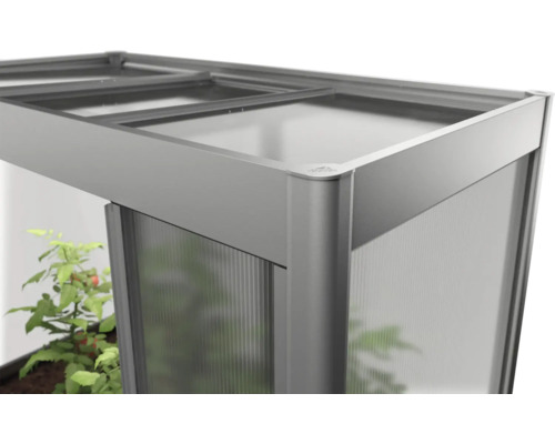 Detailansicht eines Gewächshauses mit Polycarbonatplatten und Aluminiumrahmen