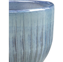 Nahaufnahme einer gerillten Pflanzschale