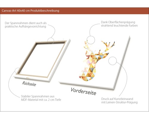 Canvasbild 40x40 Zentimeter mit Hirschmotiv, Rückseite mit MDF Rahmen
