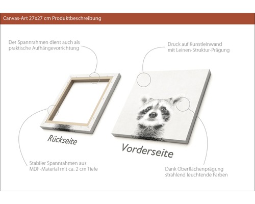 Leinwandbild 27x27 Zentimeter mit Waschbär Motiv, Rückseite und Vorderseite