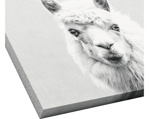 Dekorationselement mit Lama-Motiv