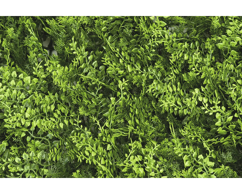 Künstliche Pflanzenwand mit verschiedenen grünen Blättern für Dekoration