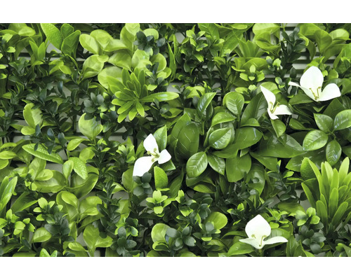 Künstliche Hecke mit grünen Blättern und weißen Blüten