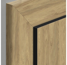 Detailansicht eines Schranks mit Holzstruktur und dunklen Kanten