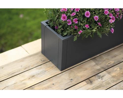 Grauer Pflanzkasten mit blühenden Blumen auf einer Holzterrasse