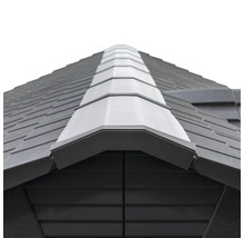 Detailansicht des Dachfirsts eines Gartenhauses