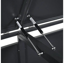 Detailansicht einer geöffneten Aufbewahrungsbox mit Gasdruckfedern.