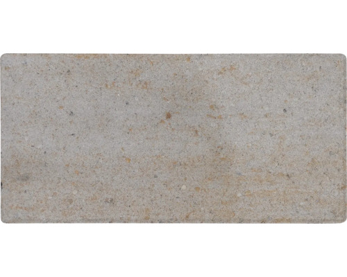 Betonpflasterstein mit rauer Oberfläche