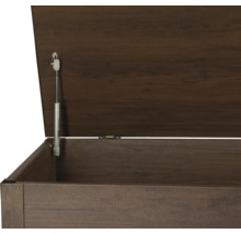Offene Aufbewahrungsbox aus Holz mit Gasdruckfeder