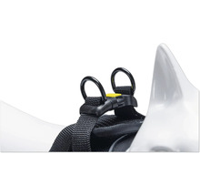 Detailansicht eines schwarzen Hundegeschirrs mit Befestigungsringen