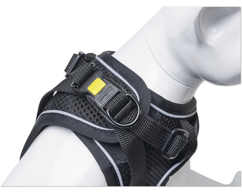 Schwarzes Hundegeschirr am Hundehals